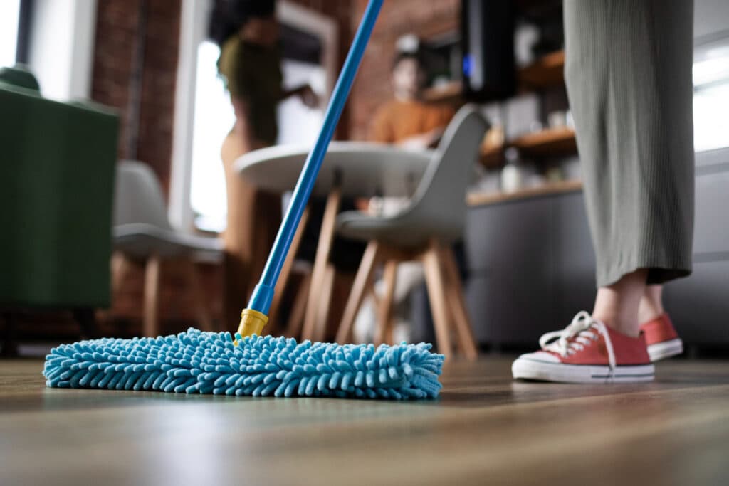 House Cleaning